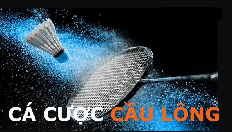 VANDO88 Cá Cược Cầu Lông | Tỷ lệ hoàn trả lên tới 1%, cược set 1 thắng liền tay 3 Cá cược kèo tài xỉu trong Cầu lông dự đoán tổng số hai vận động viên